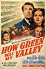 1941 (14th) Best Picture: “How Green Was My Valley”